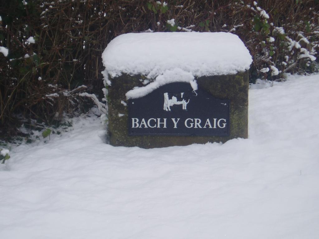 מלון סנט אסף Bach Y Graig מראה חיצוני תמונה